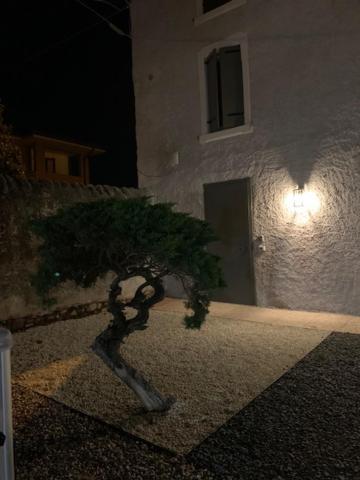Magnolia Country House Pescantina Bagian luar foto