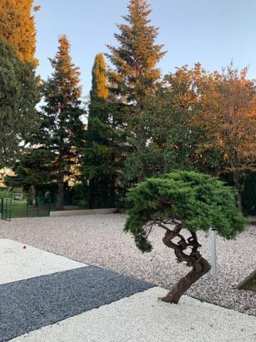 Magnolia Country House Pescantina Bagian luar foto
